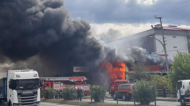 I M G 20260117 W A0010