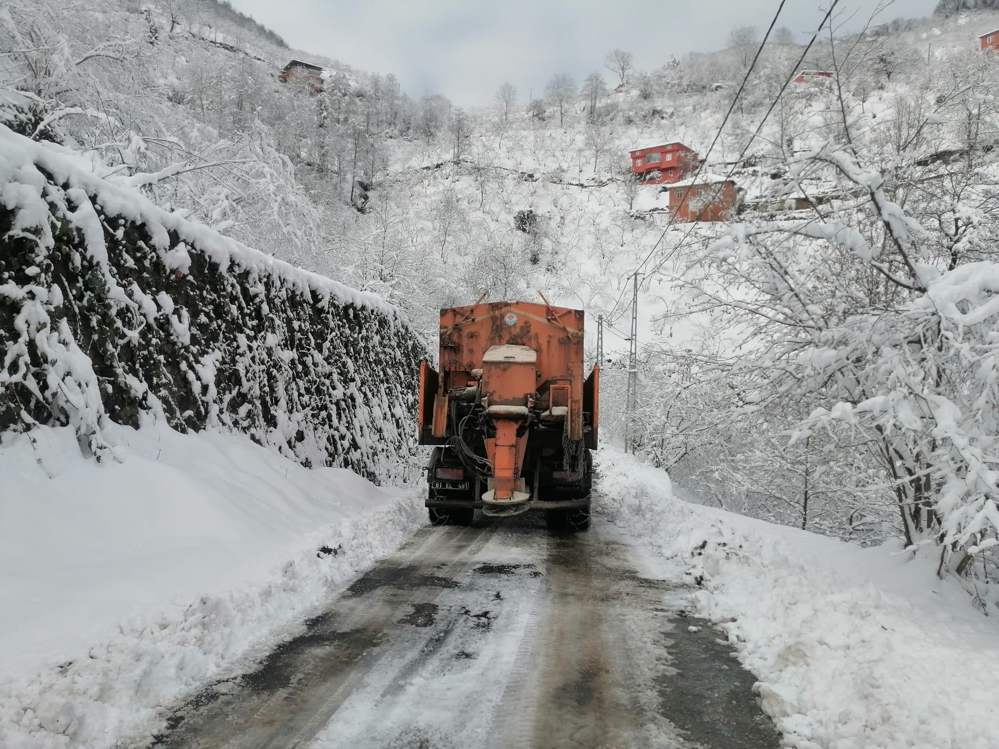 I M G 20260118 W A0017