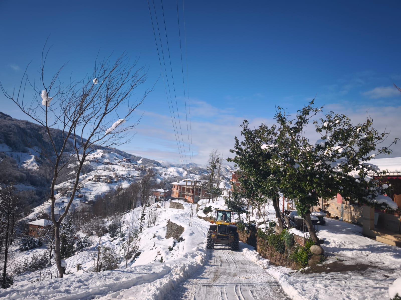 I M G 20260118 W A0020