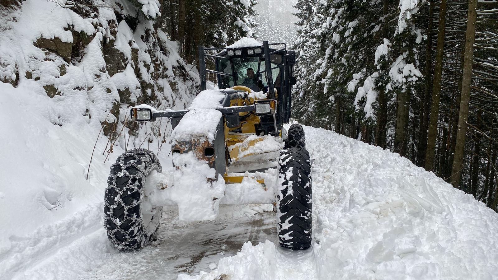 I M G 20260120 W A0001