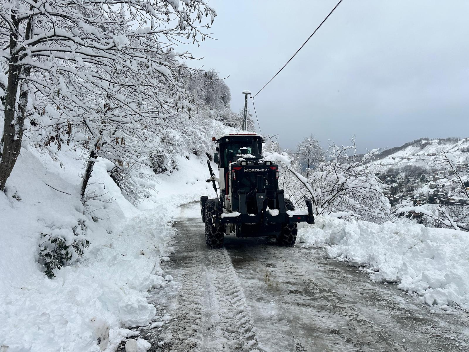 I M G 20260120 W A0002