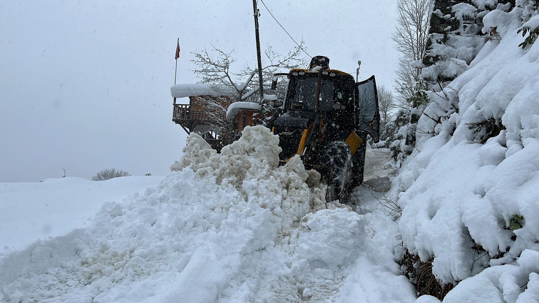 I M G 20260120 W A0004