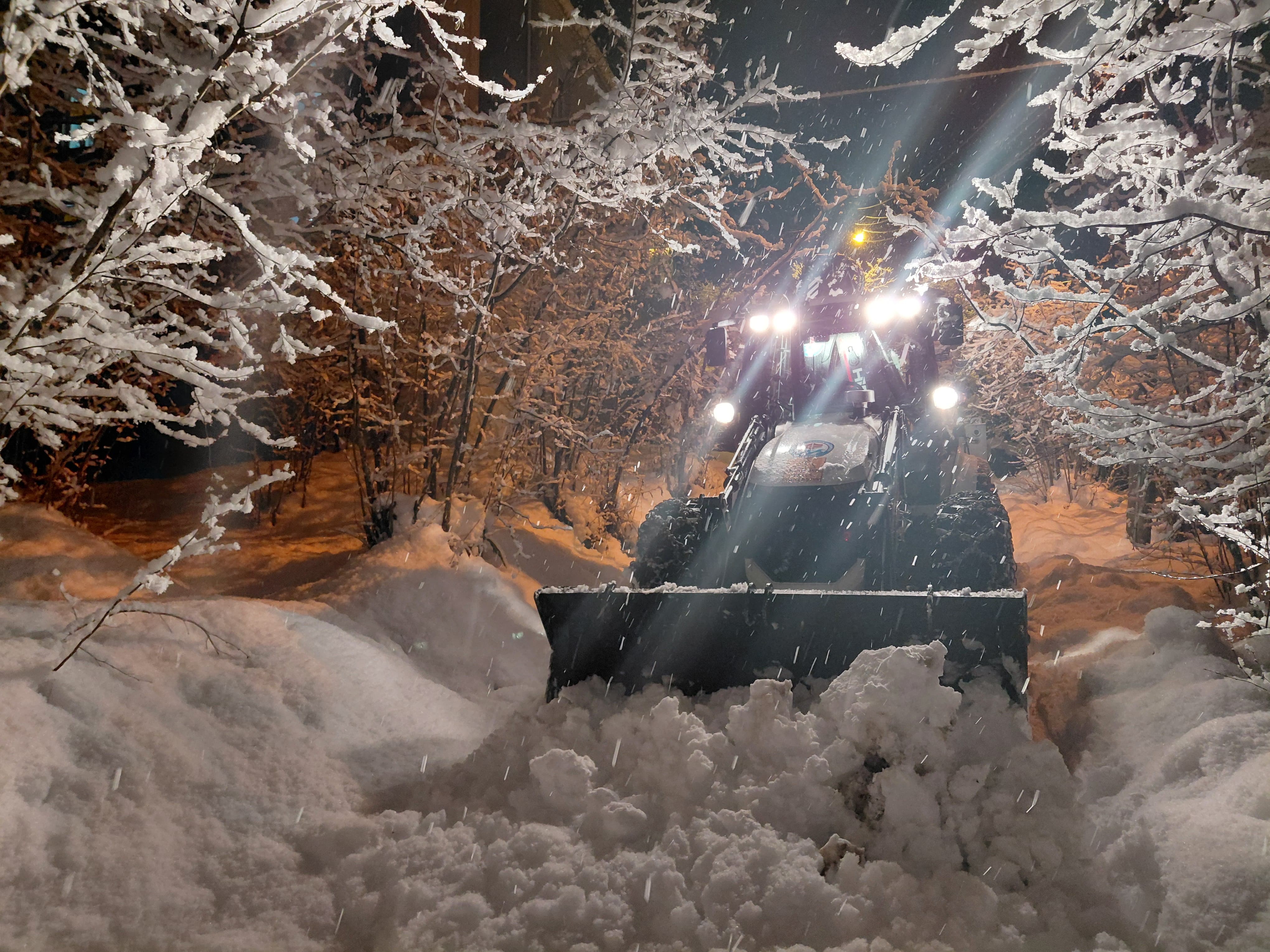 I M G 20260121 W A0006