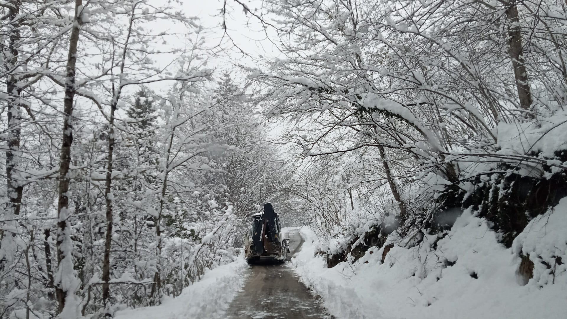 I M G 20260121 W A0008