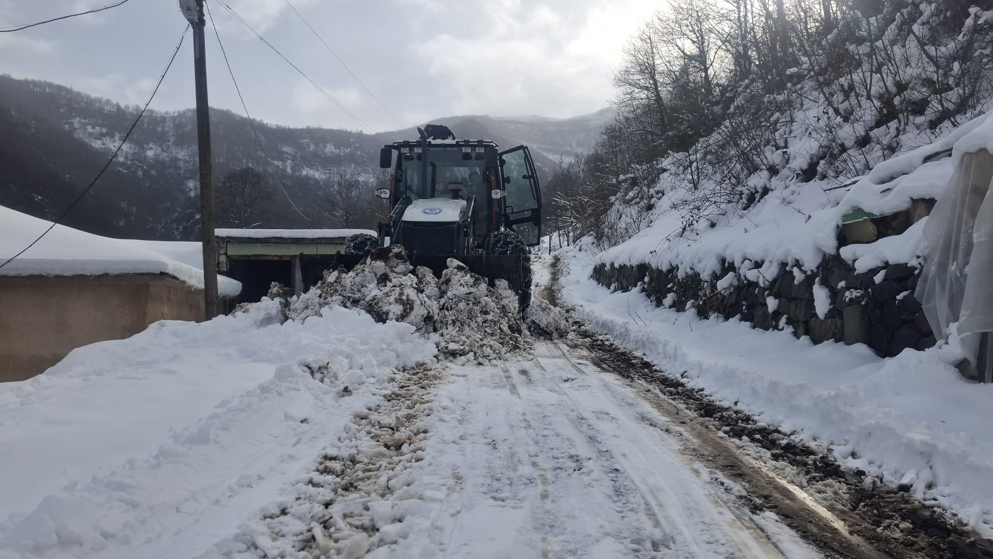 I M G 20260121 W A0009