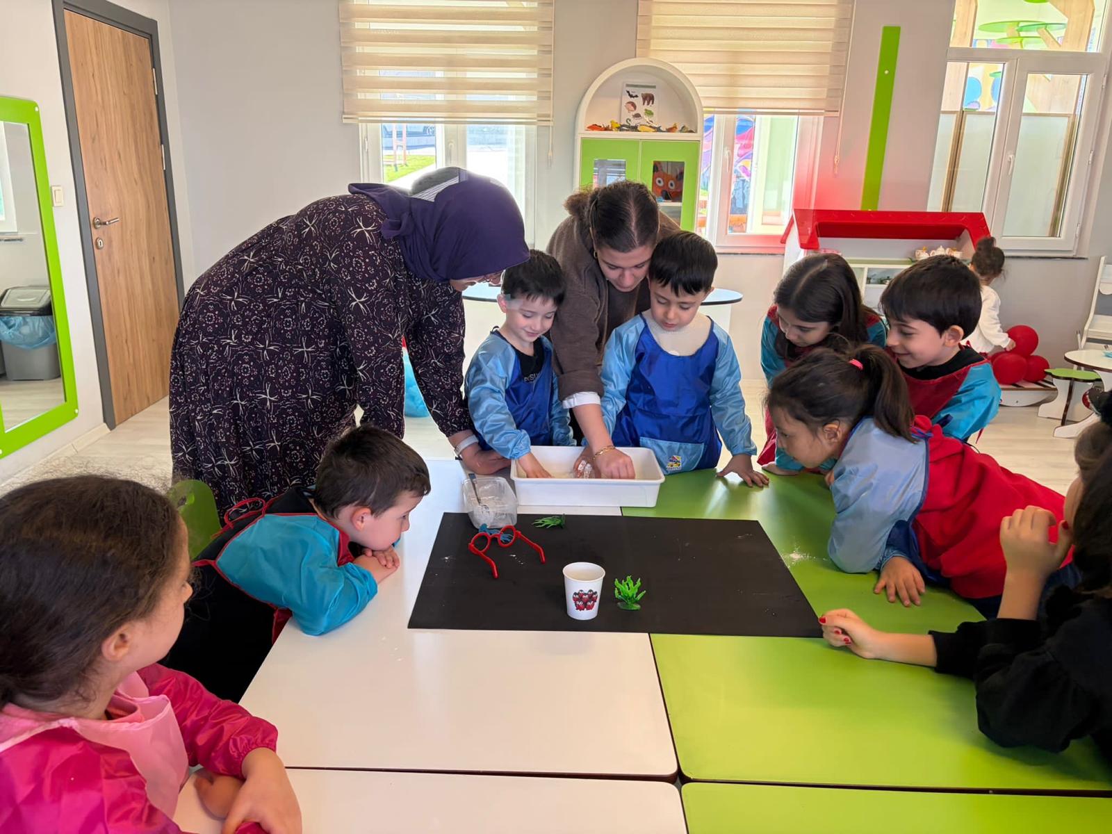 I M G 20260131 W A0008