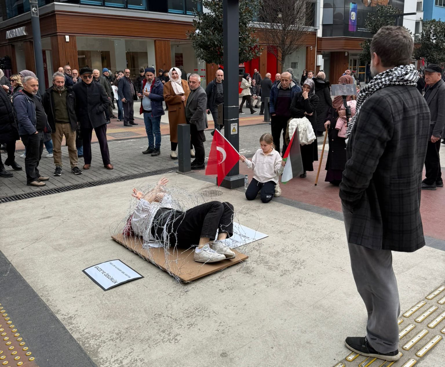 I M G 20260208 W A0035