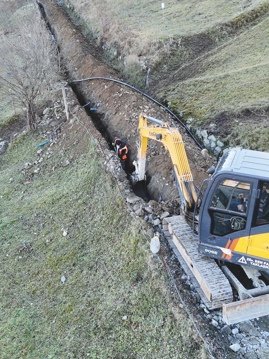 I M G 20260219 W A0022