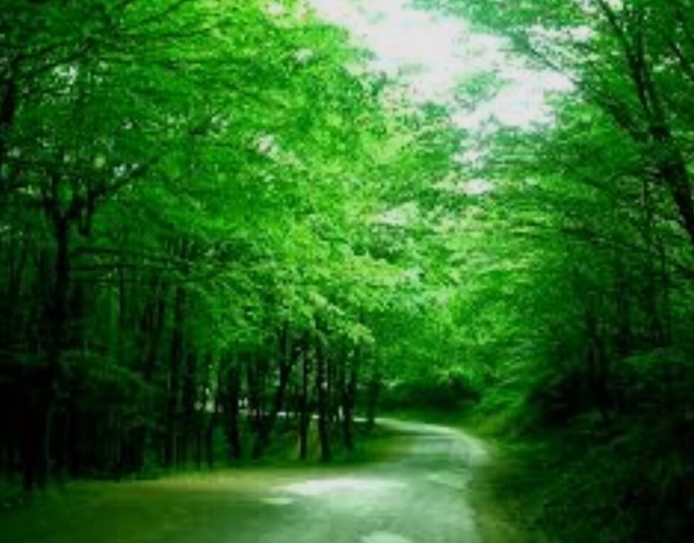 I M G 20260228 W A0002