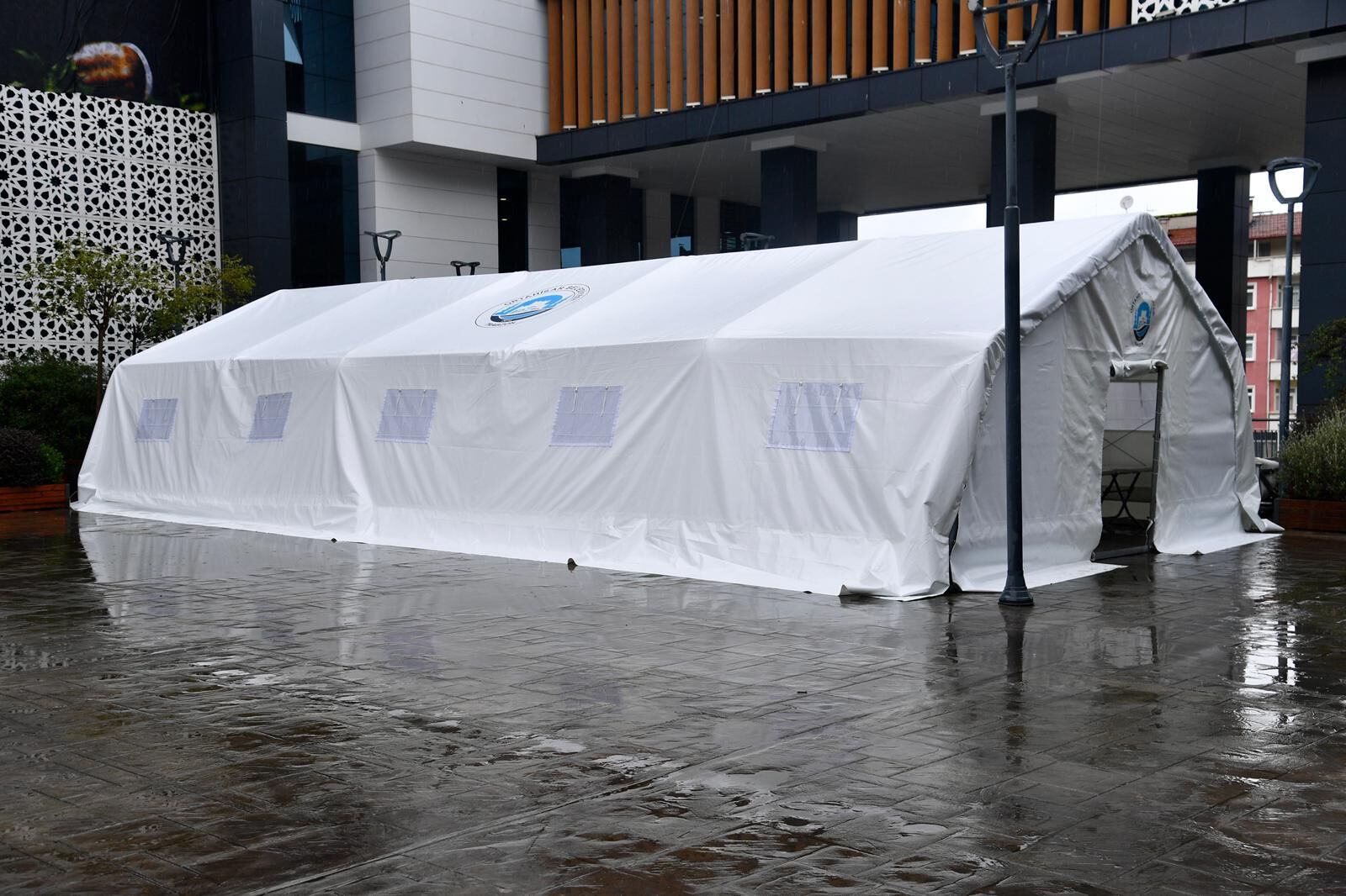 Whatsapp Image 2026 02 19 At 115243