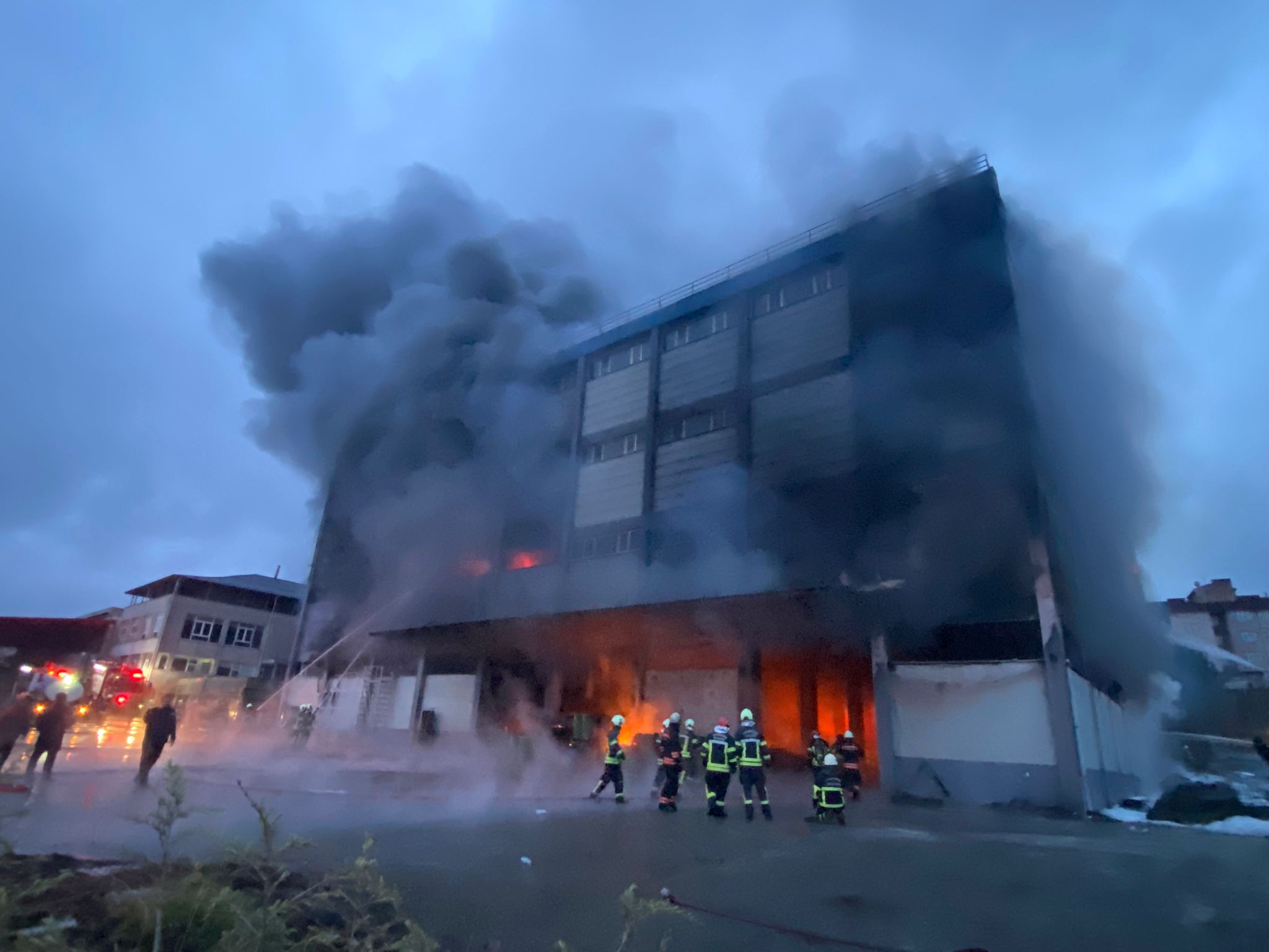 B150B1A5 Cf7A 46F8 B1A9 Dcb9F175D928-1