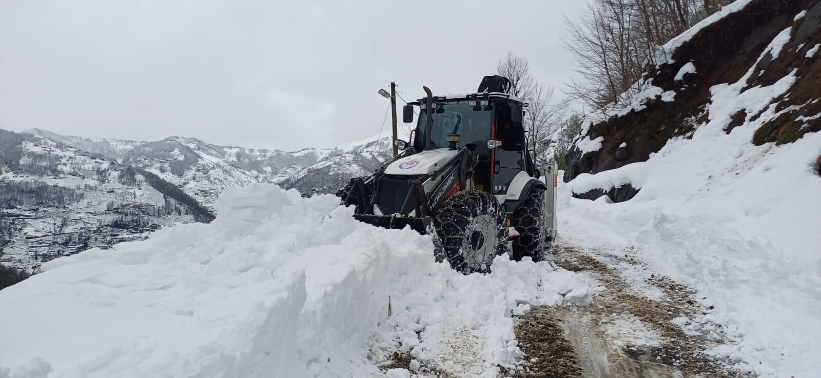 I M G 20260301 W A0007