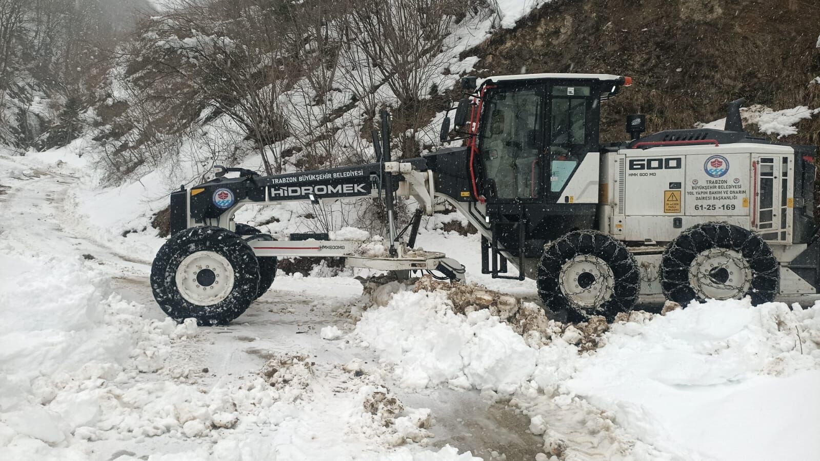 I M G 20260301 W A0009