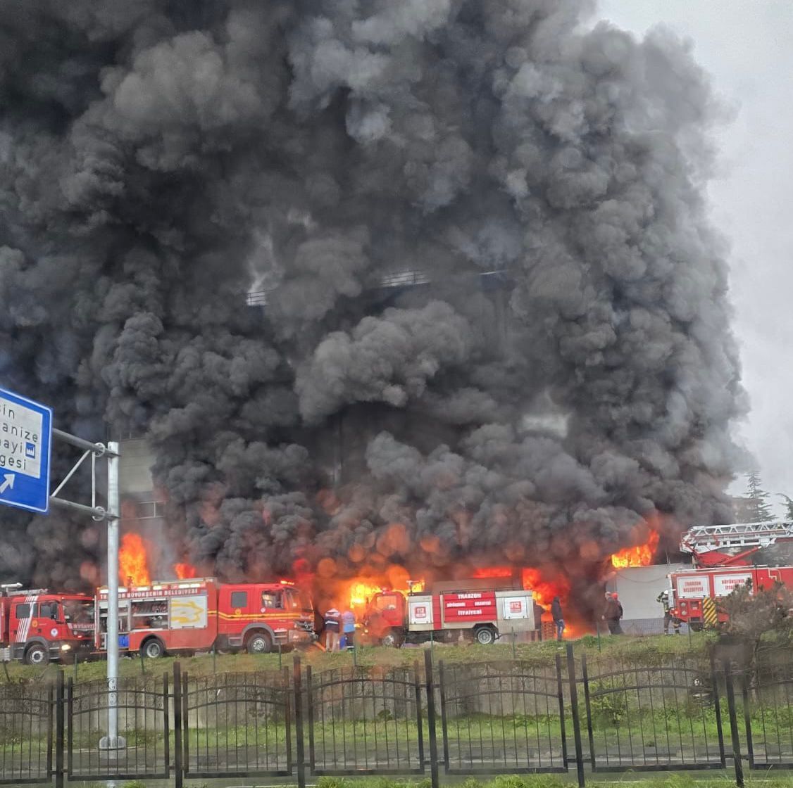 I M G 20260405 W A0003