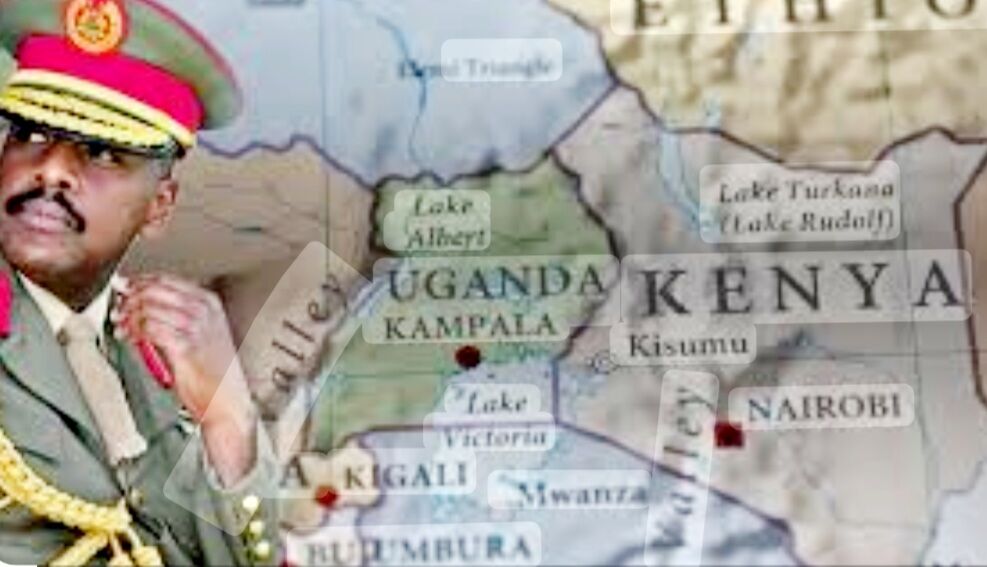 I M G 20260411 W A0005