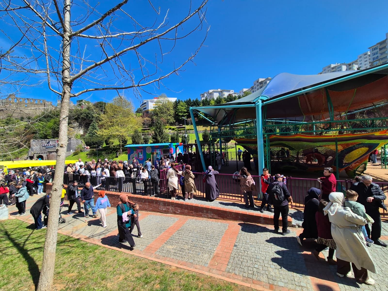 I M G 20260425 W A0005