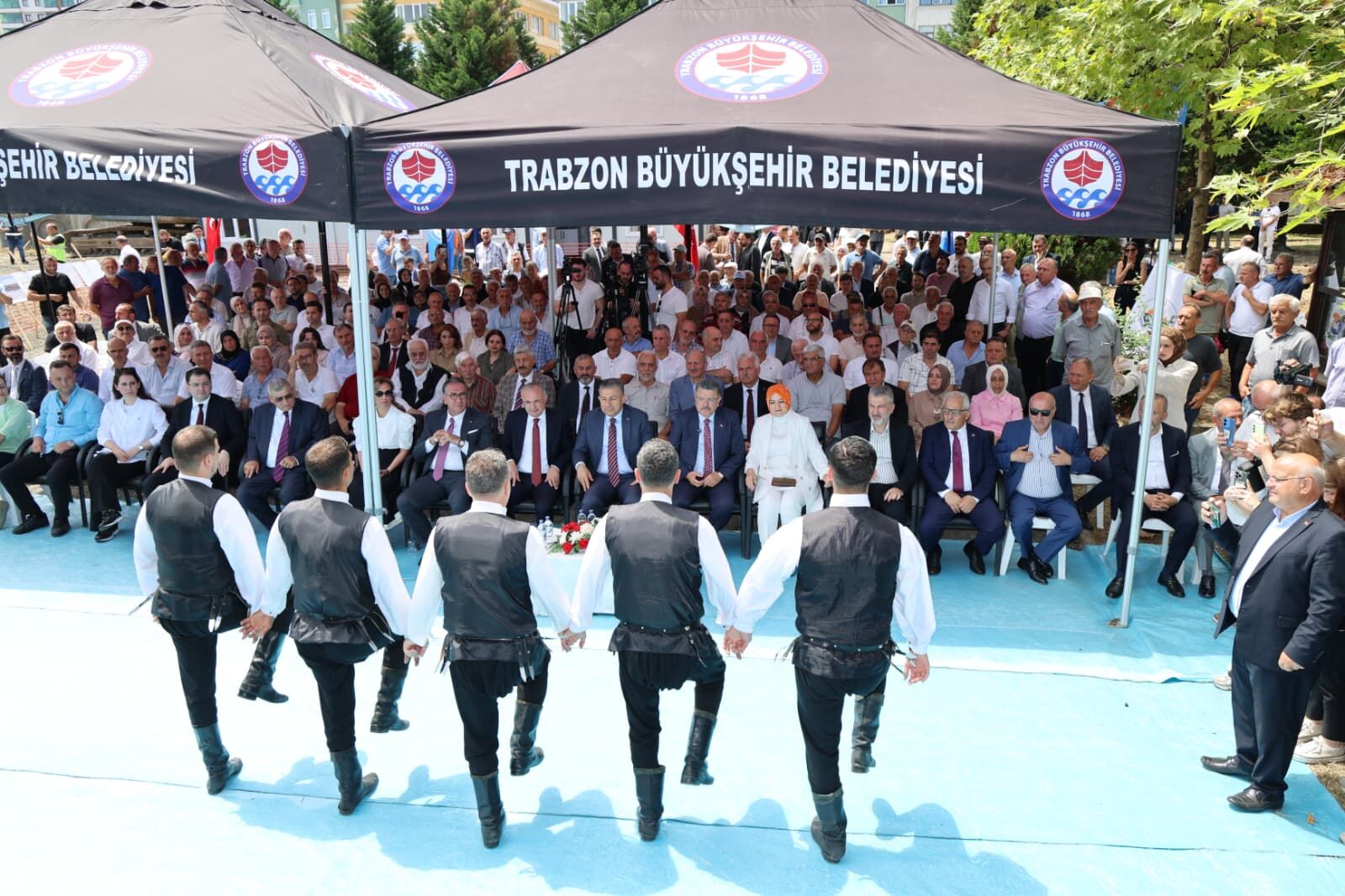87D20F84 05Ba 4Ec5 A9C1 39F32D5Bd3D0