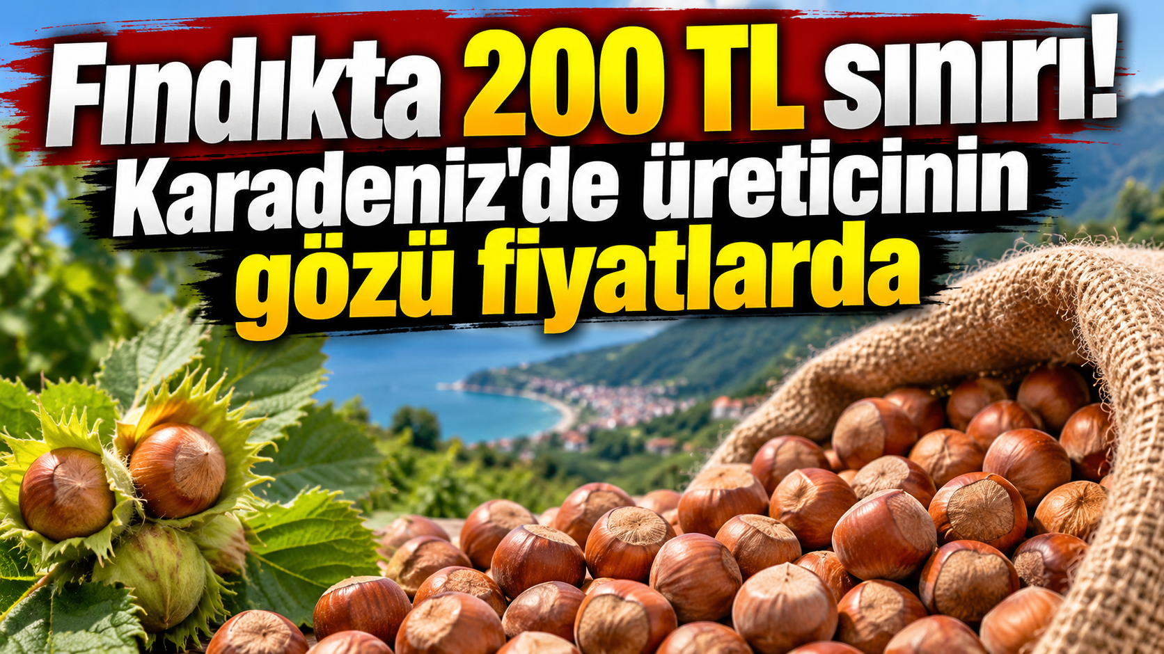 Fındık üreticisi beklemede! Fiyatlar yükselişe geçecek mi?